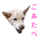 773953746
