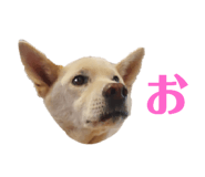 773953747
