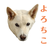 773953748