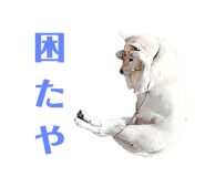 773953750