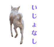 773953753