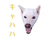 773953754
