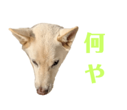 773953756