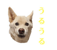 773953760