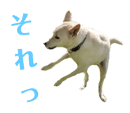 773953761