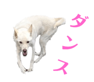 773953762