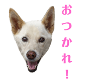 773953764