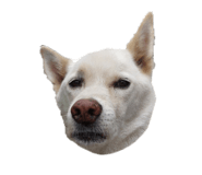 773953773