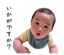 773956194