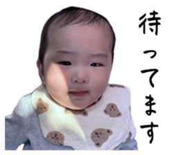 773956219