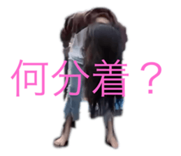 773956693