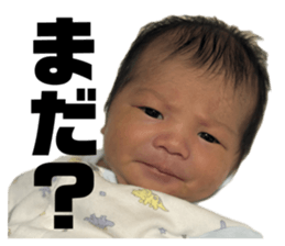 773956740