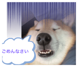 773956814