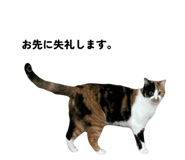 773966680