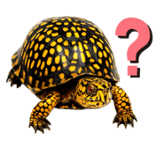 773969356