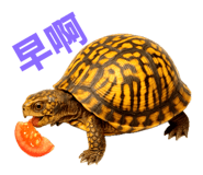 773969357