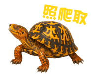 773969360