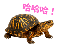 773969362
