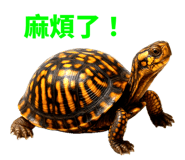 773969365