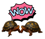 773969370