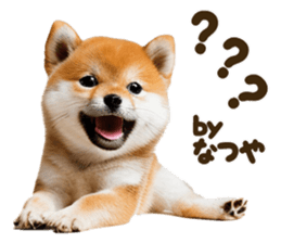 773972436