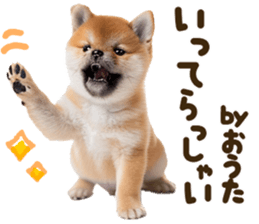 773973525