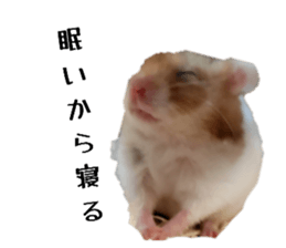 773980858