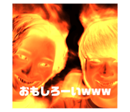 773981628
