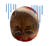 773983429