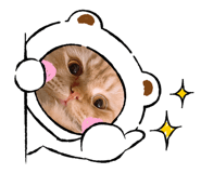 773983432