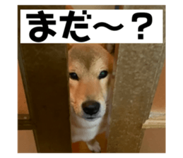 773985953