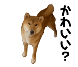 773985959