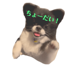 773987852