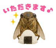 773992831
