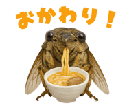 773992832