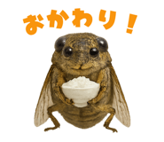 773992849