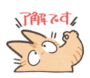 773995897