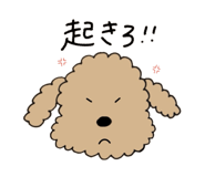 773996474