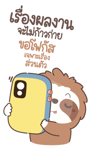 773997116