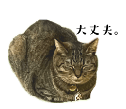 773998135