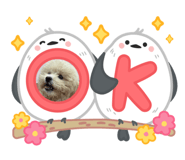 773998293