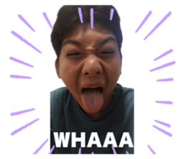 774004005