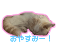 774008290