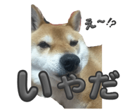 774008413