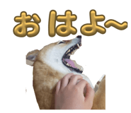 774008415