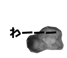 774013911