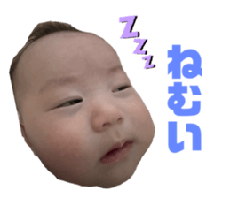 774017531