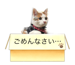 774022939