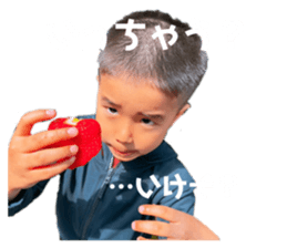774024087