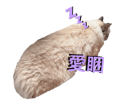 774028071
